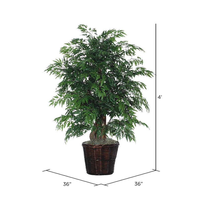 Arbre artificiel en pot aralia naturel ming