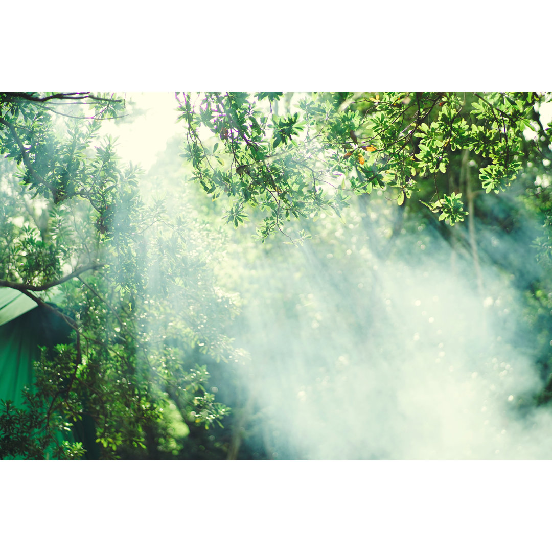 Die Sonne scheint im Wald von Yue - Leinwandbild