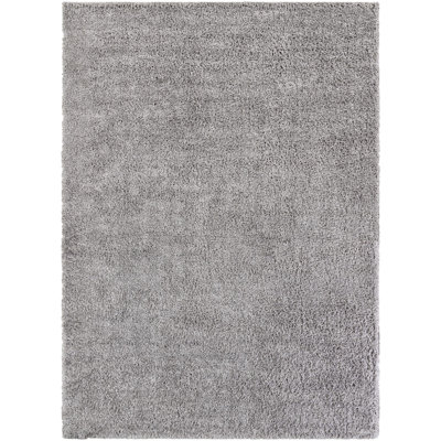 Frost Desandro Rug