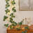 6FT Eucalyptus Garland with Timer – Artificial Cedar Tree Garland