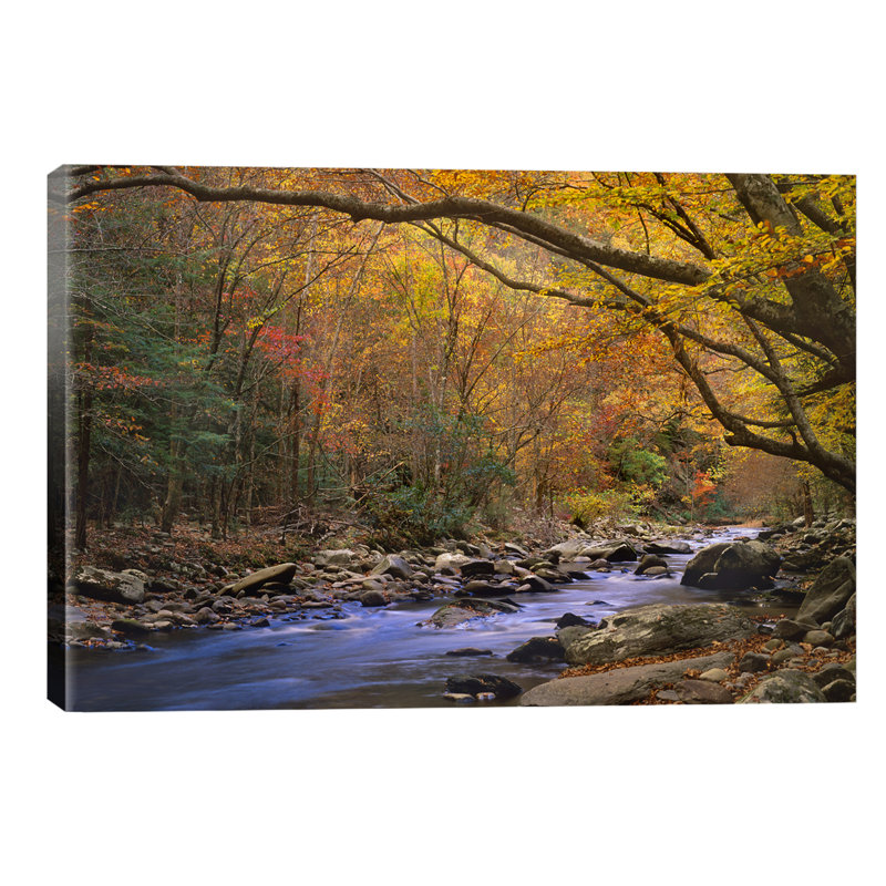 Little River Flowing Through Autumn Forest, Great Smoky Mountains National Park, Tennessee 1 Piece Wrapped Canvas Painting