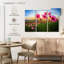 Alvord Cosmos Flower Valley-108173383