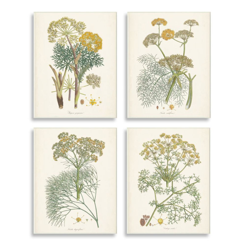 Étude de safran rétro avec herbes florales - ensemble de 4 impressions d'art graphique, H 15 po x l 10 po, Plaque murale