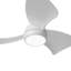 Ventilateur de plafond de 30 pouces-737824609-737824611