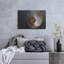 "Coquillage Nautilus" par Elena Ray-1416675434