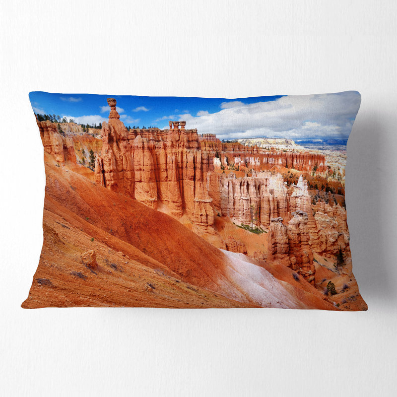 Coussin Schafer