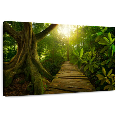 Alvord Asian Jungle Trail