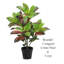 Doublure de plante artificielle Croton-789565406