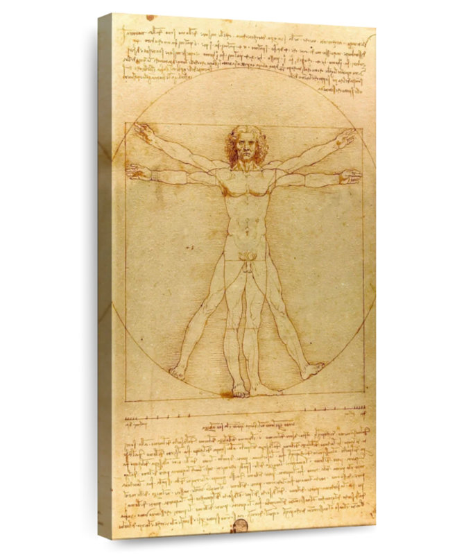 The Vitruvian Man, 30" H x 15" W