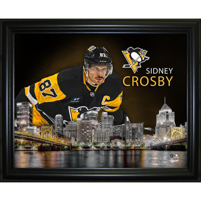 Pingouins Sidney Crosby 16 x 20