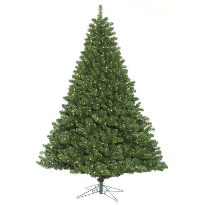 Oregon Christmas Tree