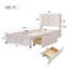 Upholstered European Single Metal Drawers Bed