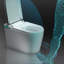 Toilette intelligente B-TP115355 avec commande vocale et pare-bulles, siège de bidet chauffant