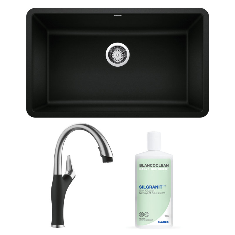 Precis 30" L x 18" W Undermount Kitchen Sink with Faucet & Sink Cleaner, Coal Black