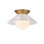 Saucer 1 - Light Flush Mount