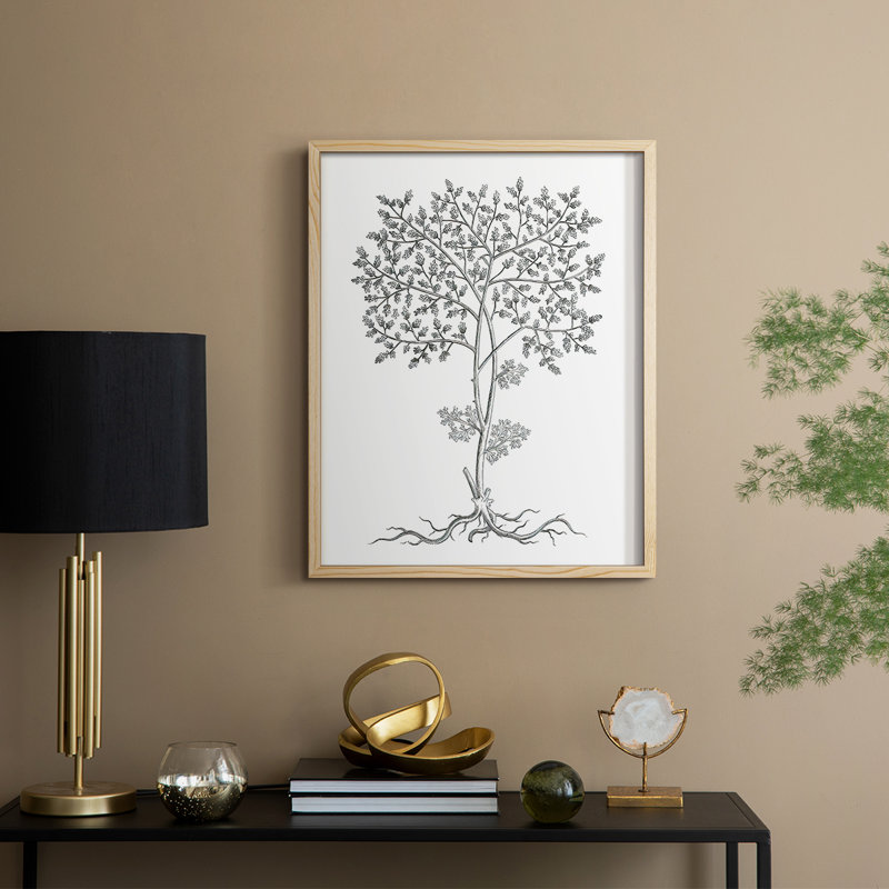 B&W Plant Specimen IV Framed Print - Solid Wood, 11" H x 9" W