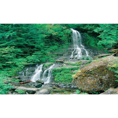 Landscape & Nature Non-Wall Damaging Window Decal