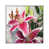 White Floater Framed