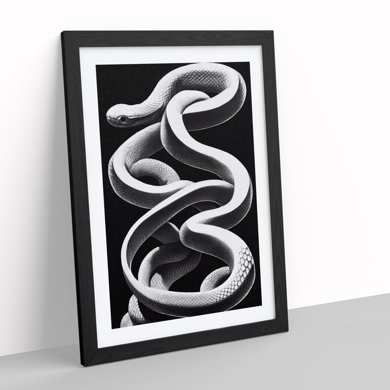 Coiled Snake - Single Picture Frame Print, Black, 34cm H x 25cm W x 2cm D