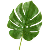 20'' Faux Split Leaf Philodendron Stem