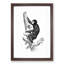 Orangutan in Black and White by George Shaw - Picture Frame Drawing Print-55616644-55616645