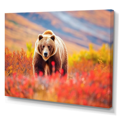 Grizzly Bear In Alaska Scenery I On Canvas Print