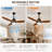 Modern 52" Matte Black Ceiling Fan -1611963145-1611963147