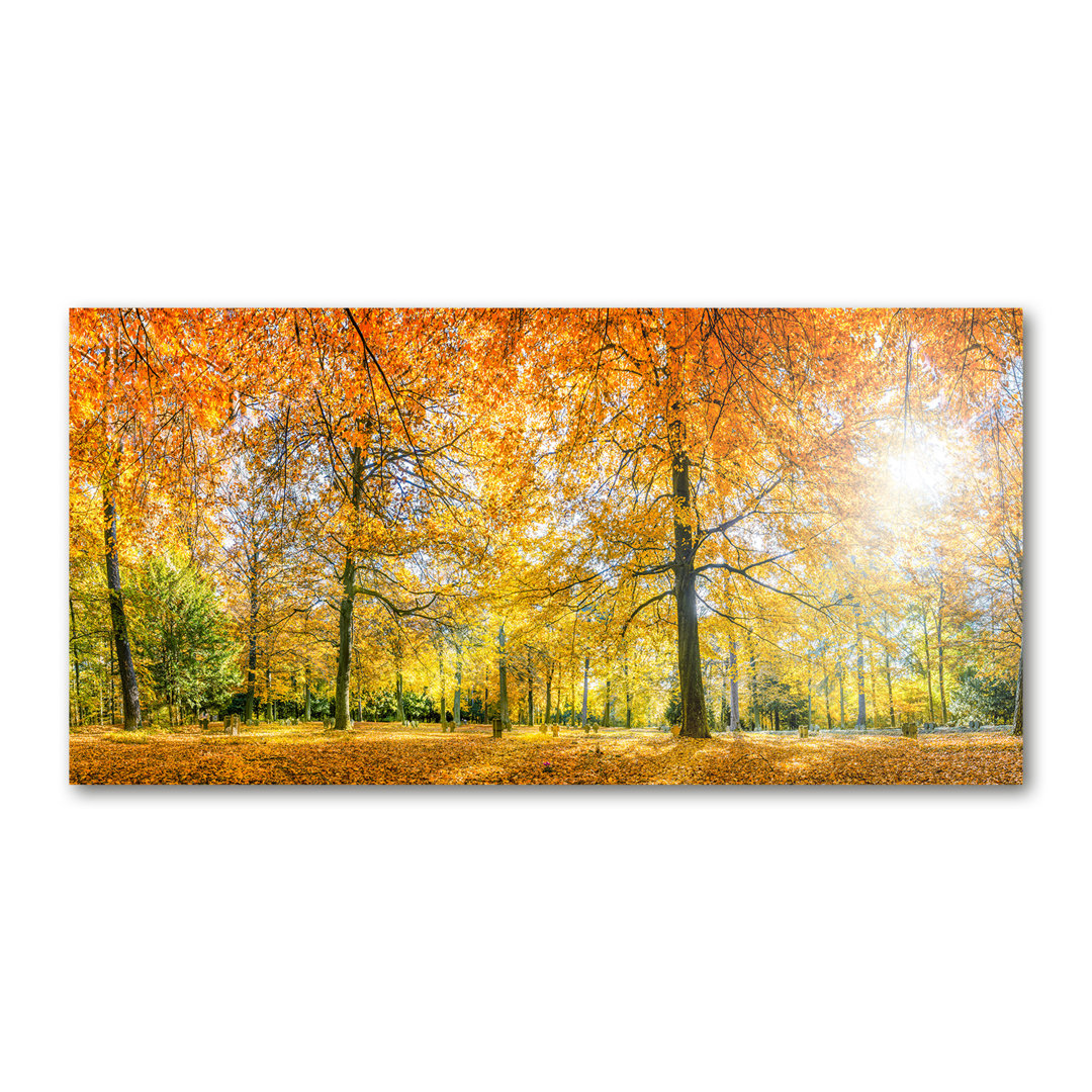 Herbstwald - Kunstdrucke auf Leinwand - Wrapped Canvas