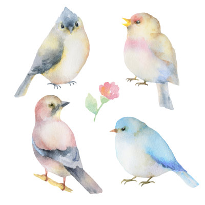 Ensemble d'oiseaux