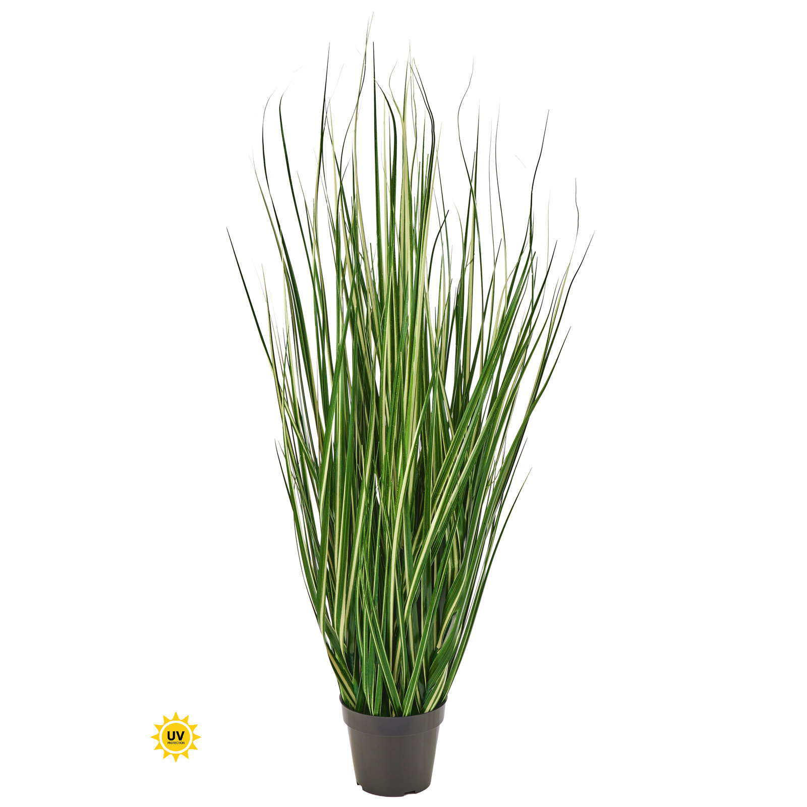 48" UV  Potted Variegated Grass, 48 in x 15 in