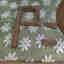 Photos des clients 2 de 2