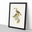 White-Eared Honeyeaters by Elizabeth Gould - Picture Frame Painting Print-55612096-55612097