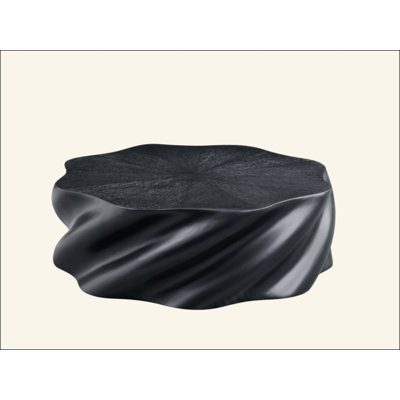 Table basse pétale entièrement assemblée - Fibre de verre noire sculpturale mat, design organique moderne, sans assemblage, table centrale multi-scène
