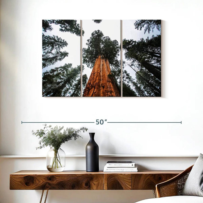 Harnek Giant Sequoias, 24" H x 38" W