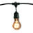 Jothan 48-ft Outdoor 15 - Bulb Standard String Light (End to End Connectable)