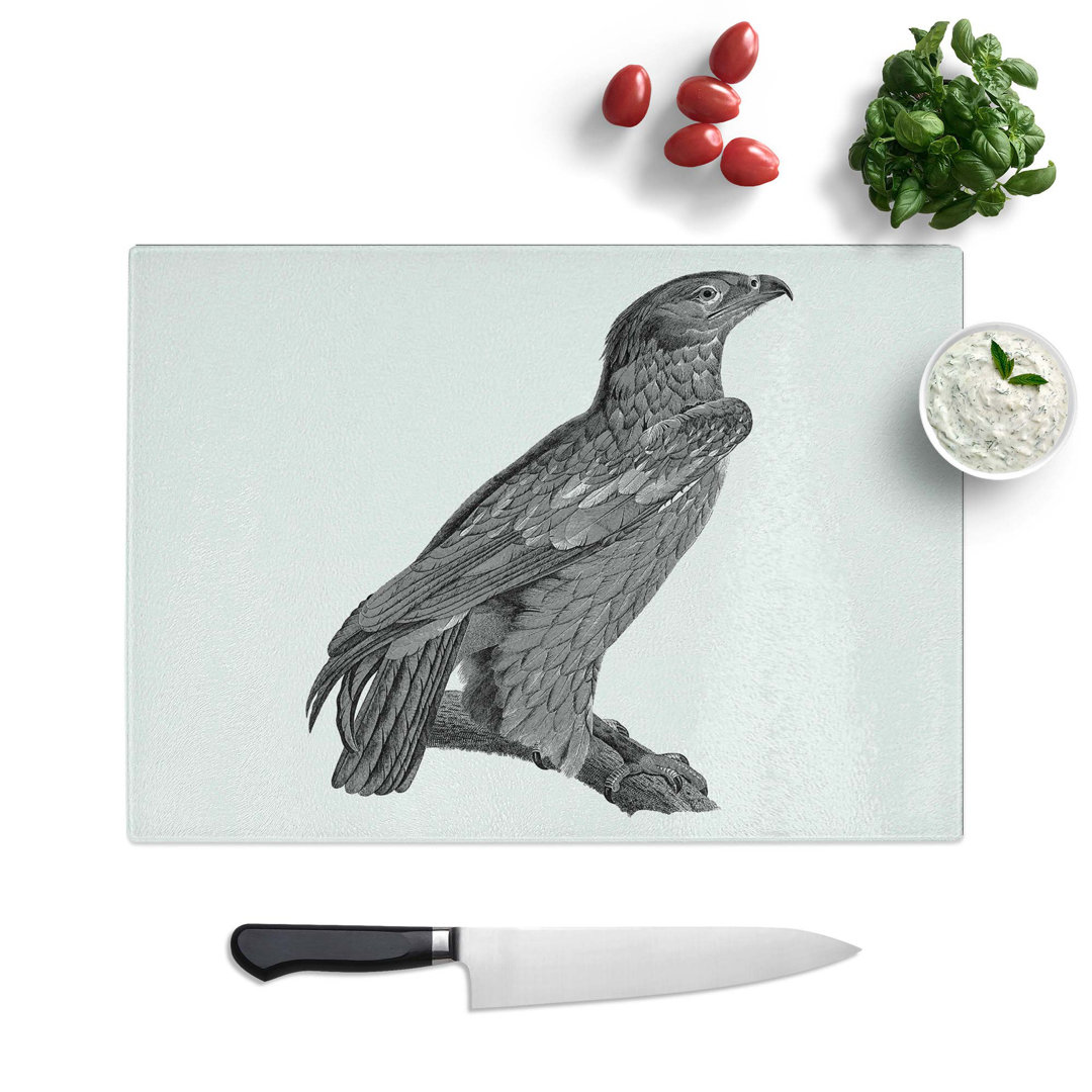 Tempered Glass Spotted Eagle Illustration Chopping Board