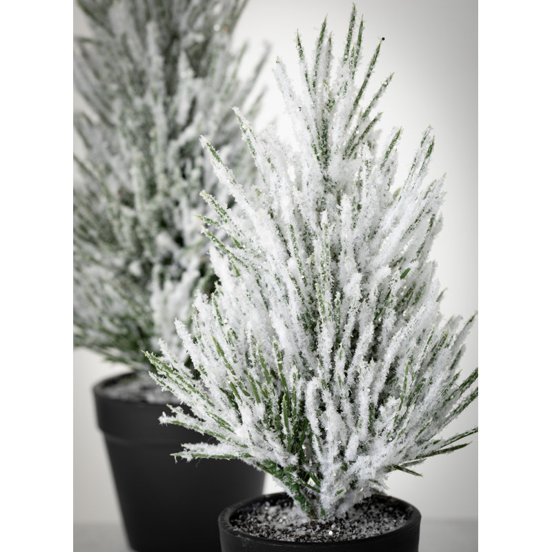 Sapin de Noël blanc / vert Surber