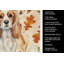 Serviette de cuisine tricolore Sheltie-2083472815