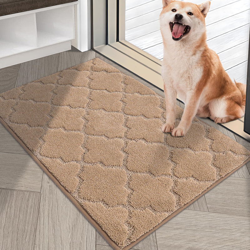 Aleman Non-Slip Doormat, Brown, 80cm W x 50cm L