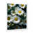 Cadre simple blanc
