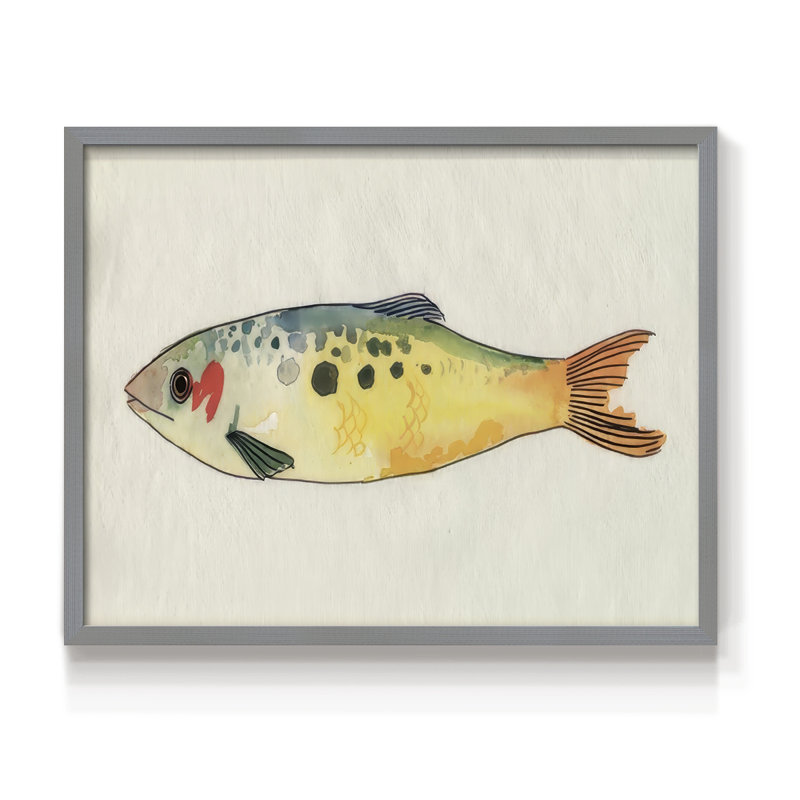 Fanciful Fish I -Framed Print - Restickable, Gray, 16" H x 20" W