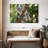 Australian Koala Bears-107922769