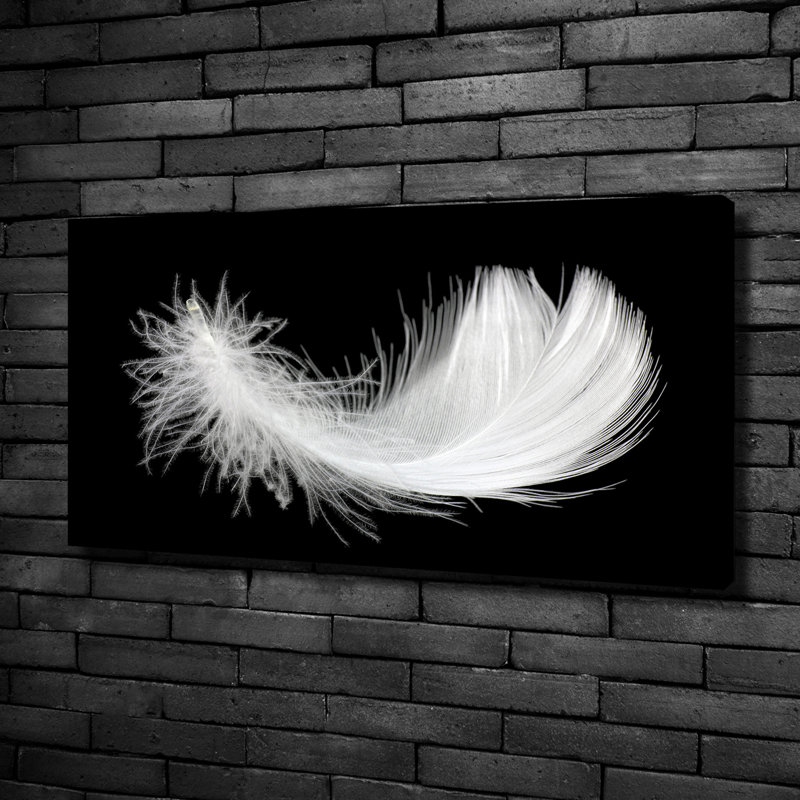 Feather - Wrapped Canvas Print