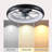 Ceiling Fan With Lights Dimmable LED