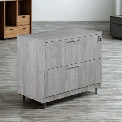 Deliylah 2-Drawer Lateral Filing Cabinet, Gray Oak