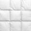 Royal Goose All Season Down Comforter-57290055