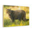 Art mural majestueux, impression de chat sauvage-794846269