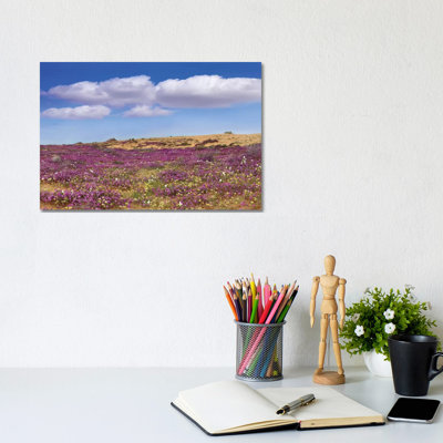 Sand Verbena Carpeting The Ground, Imperial Sand Dunes, California by Tim Fitzharris - Gallery-Wrapped Canvas Giclée on Canvas