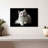 White Persian Cat-107524872