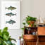 «Freshwater Fish III», reproduction d'art sur toile tendue-1326170336